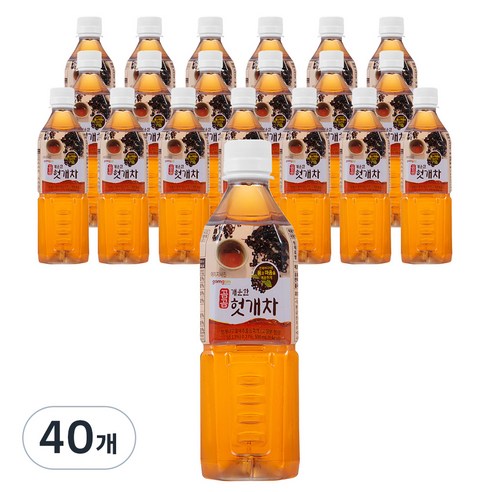 곰곰 개운한 헛개차, 500ml, 40개