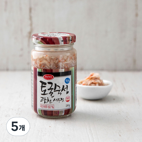 한성기업 토굴숙성 광천새우젓, 250g, 5개