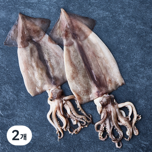 부산 13번 중매인 산지직송 해동 손질 오징어 (냉장), 240g, 2개