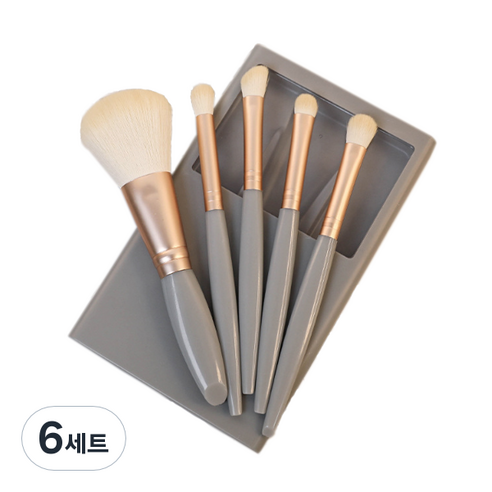 디에스 휴대용 멀티 브러쉬 5종 세트, 그레이, 6세트