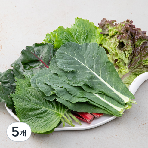 GAP 삼겹살용 모둠쌈, 450g, 5개