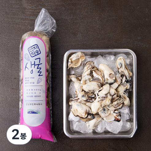 갯마을 남해안 가열조리용 봉지굴 (냉장), 480g, 2봉