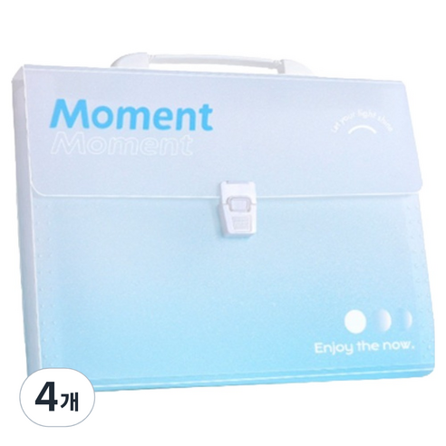 모노테리 도큐먼트 13칸 서류 보관 아코디언파일, 블루, 4개