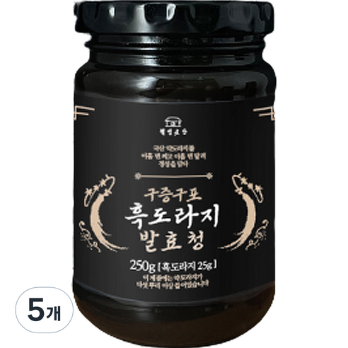 웰빙곳간 구증구포 흑도라지 발효청, 250g, 5개