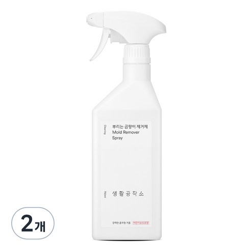 생활공작소 뿌리는 곰팡이 제거제, 750ml, 2개