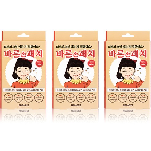 피부의정석 바른손패치 스팟패치, 100개입, 3개