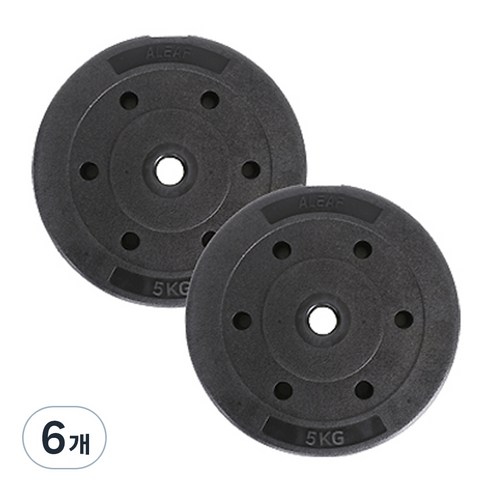 아리프 플렉스 원판, 5kg, 6개