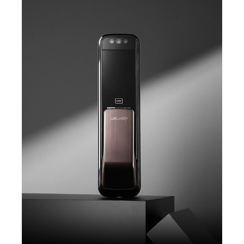 얼굴인식으로 시작하는 스마트한 현관, 솔리티 WP-500A