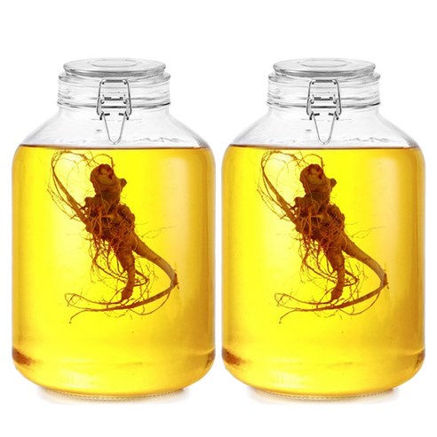 헬로키친 다용도 밀폐 유리병, 5L, 2개