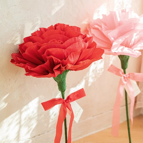 생생한 자이언트 리본장식 카네이션으로 우아함과 아름다움을 선사하세요.