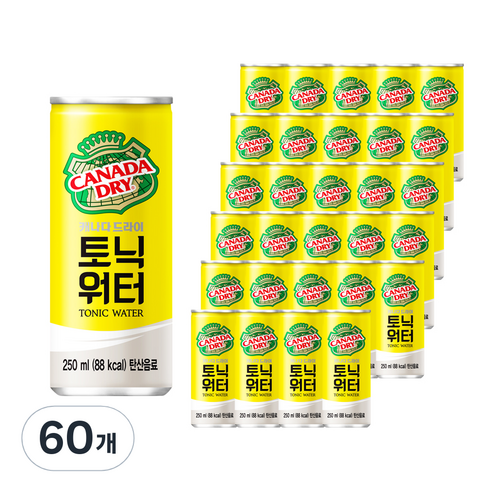 콜라 카나다드라이 토닉워터 250mlx30캔, 250ml, 60개