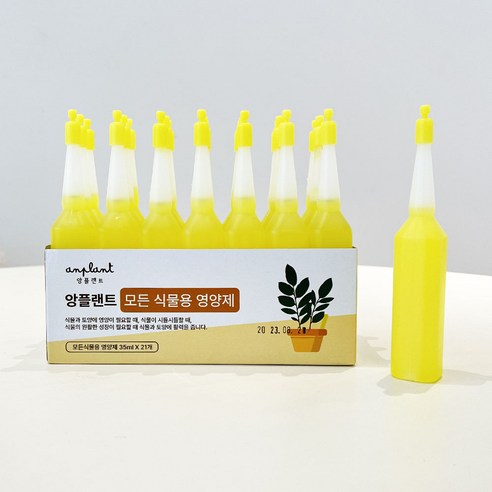 생명의 활력을 불어넣는 앙플랜트, 식물과의 행복한 동행