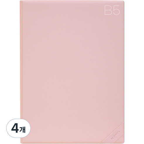 데얼스 도큐먼트 파일홀더 B5, 피치, 4개