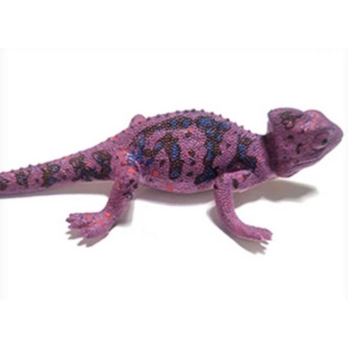 지친 일상에 작은 행복을 더하는 큐티 도마뱀 피규어