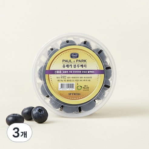 PAUL&PARK 국내산 유레카 블루베리, 100g, 3개