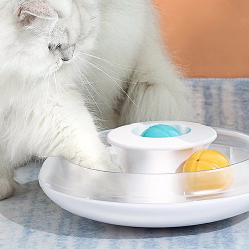 JHCompany 고양이 UFO 빙글 서킷 테이블, 혼합색상, 1개