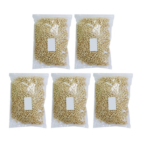 넛츠팜 오징어 해씨볼, 700g, 5개