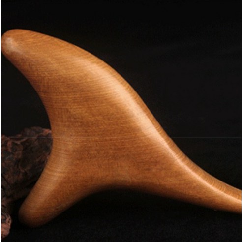 장미목 괄사로 되찾는 나만의 휴식 시간