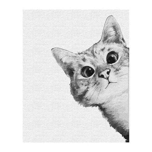 플레이어바웃 DIY 명화 그리기 세트 40 x 50 cm, 궁금한 고양이 화이트