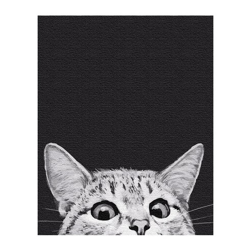 플레이어바웃 DIY 명화 그리기 세트 40 x 50 cm, 궁금한 고양이 블랙