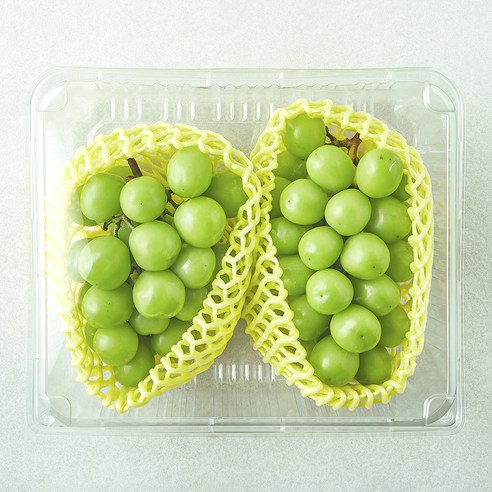신선하고 풍부한 맛의 샤인머스캣, 곰곰이 선보입니다.
