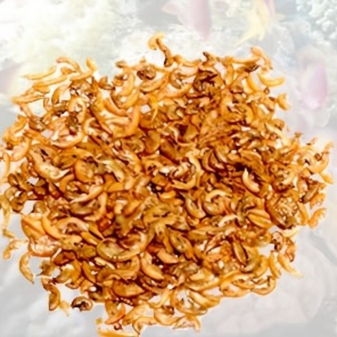 거북이의 건강과 행복을 위한 오색찬란한 영양 만찬, 레인보우 감마루스