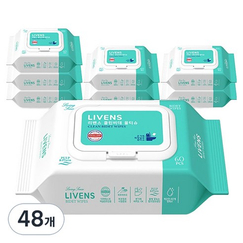 리벤스 소프트 클린 화장실 비데티슈 캡형, 55g, 60매, 48개
