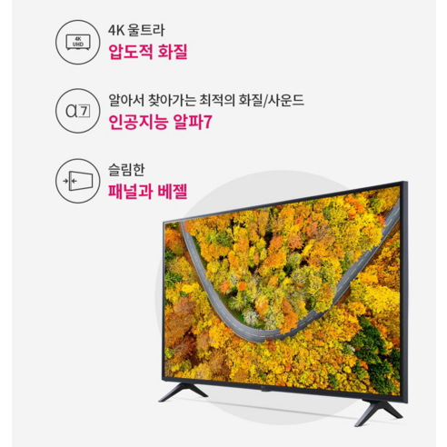 집안의 영화관을 만드는 선택