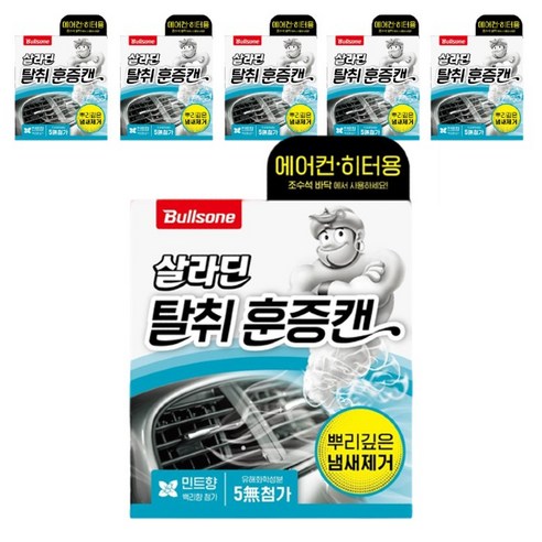 불스원 폴라패밀리 살라딘 에어컨 히터 탈취 훈증캔 민트향 본품, 65.8g, 6개