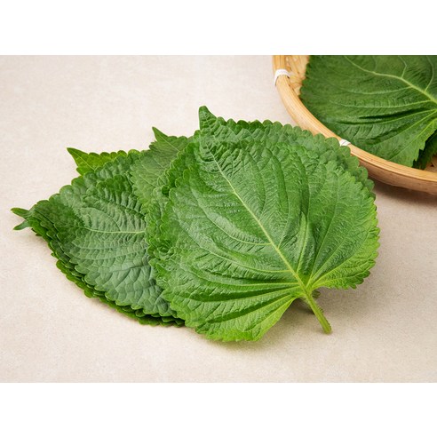 향긋한 밀양 깻잎으로 식탁을 풍요롭게, 건강하게!