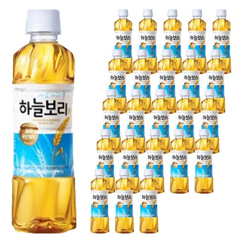 웅진 하늘보리