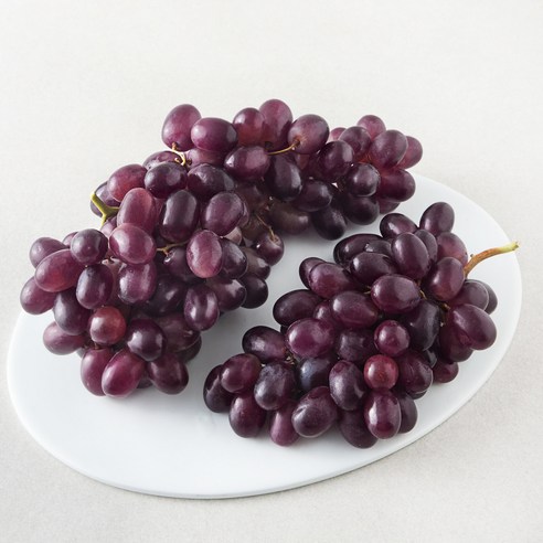 칠레 적포도