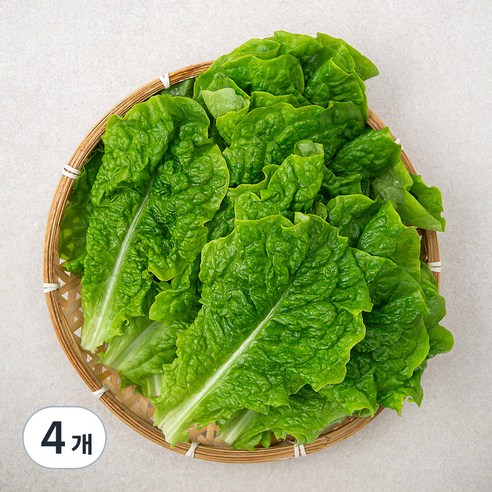 곰곰 청상추, 500g, 4개