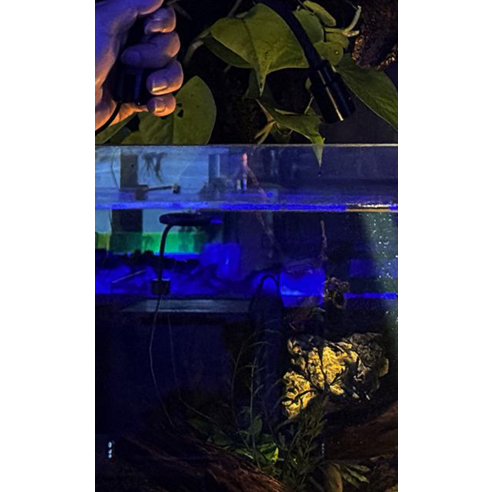 작은 빛으로 수중 세계를 밝히다