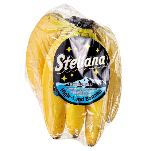 스텔라나 베트남산 바나나, 고산지에서 자란 쫀득쫀득하고 달콤한 바나나