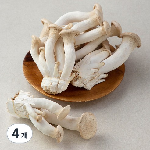 국내산 친환경 머쉬마루버섯, 600g, 4개