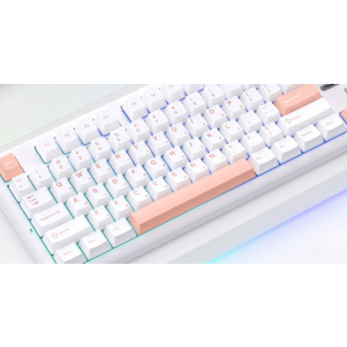 세이야축으로 피어나는 타건의 즐거움, AULA LEOBOG 독거미