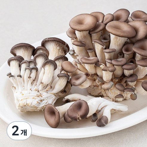 곰곰 친환경 참타리버섯, 300g, 2개, 300g × 2개이라는 상품의 현재 가격은 3,740입니다.