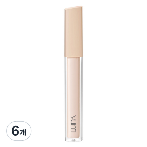 루나 롱래스팅 픽싱 핏 팁컨실러 7.5g, 0.5호 포슬린, 6개