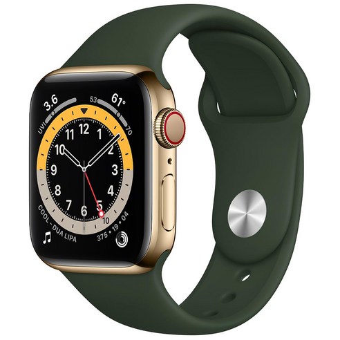 Apple 애플워치 6, 골드 스테인리스 스틸 케이스, 사이프러스 그린 스포츠 밴드, 40mm, GPS+Cellular