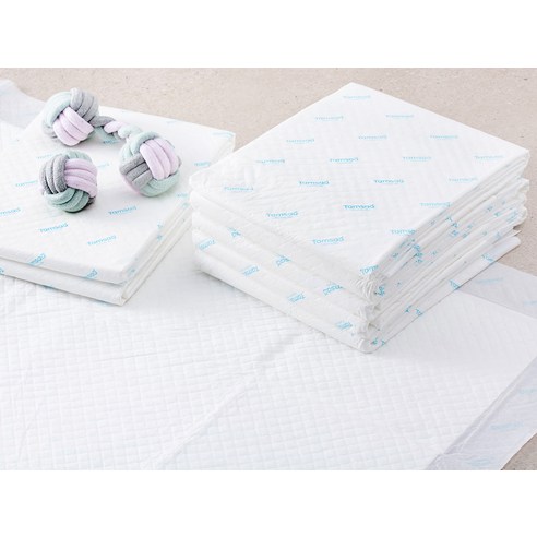 탐사 배변패드로 편리한 반려동물 관리