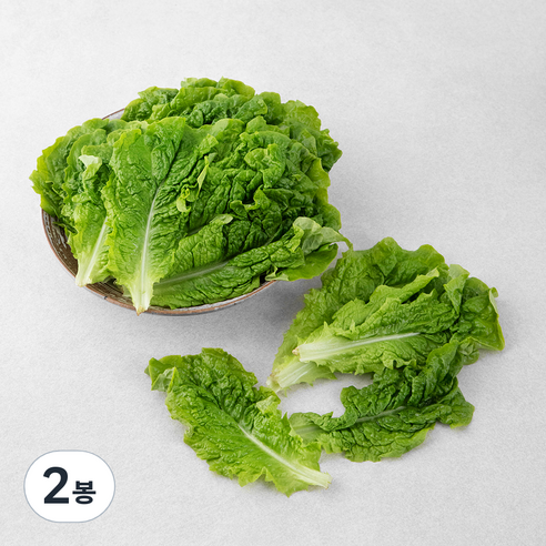 곰곰 국내산 GAP 청상추, 300g, 2봉