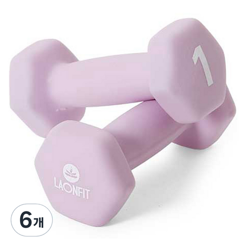 라온핏 아령 파스텔 퍼플, 1kg, 6개