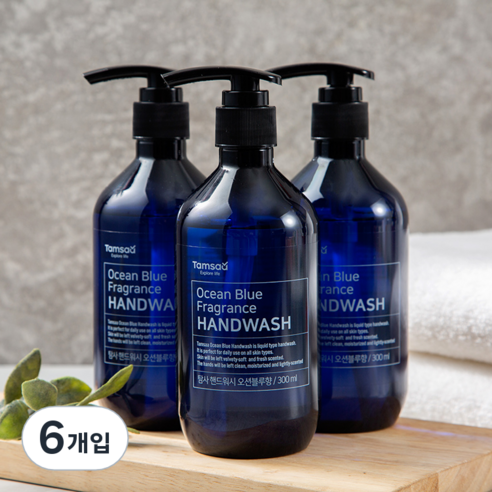 탐사 핸드워시 오션블루향, 300ml, 6개입