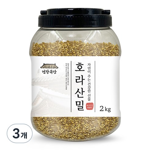 건강곡간 호라산밀 통, 2kg, 3개
