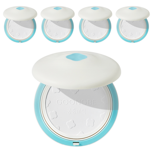 궁중비책 프리뮨 수딩 기저귀 파우더, 25g, 5개