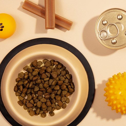 사랑스러운 고양이를 위한 최적의 사료