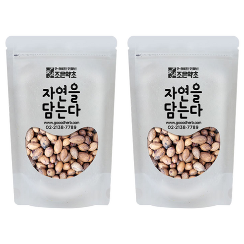 조은약초 자연을 담는다 프리미엄 비자열매, 300g, 2개