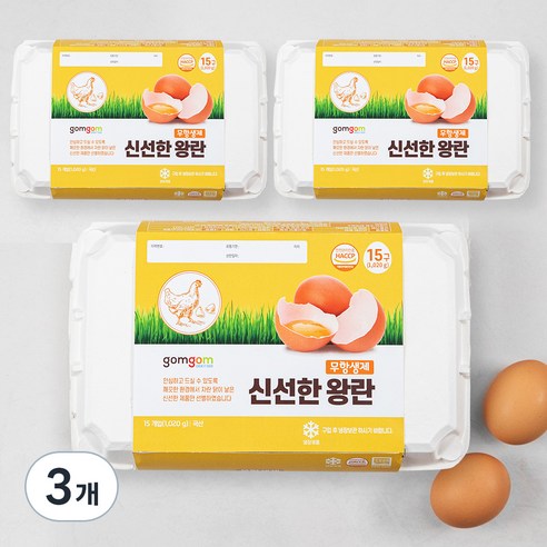 곰곰 무항생제 신선한 왕란, 15구, 3개