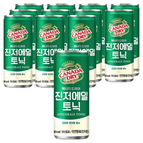 캐나다드라이 진저에일 토닉, 250ml, 12개